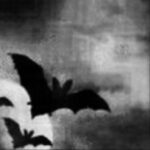 Profile picture of IT09BrunoPulidoRobles