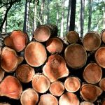 Group logo of Scenario 2: Green Construction